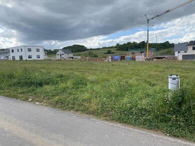 Grundstück zum Kauf provisionsfrei 164.500 € 658 m² Grundstück frei ab sofort Welschbillig Welschbillig 54298