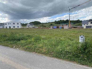 Grundstück zum Kauf provisionsfrei 164.500 € 658 m² Grundstück frei ab sofort Welschbillig Welschbillig 54298