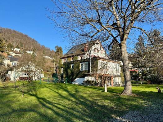Villa zum Kauf 1.455.000 € 11 Zimmer 291 m² 1.845 m² Grundstück Grenzach Grenzach-Wyhlen 79639