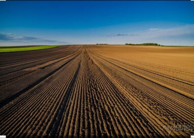 Land-/Forstwirtschaft zum Kauf provisionsfrei 580.000 m² Grundstück Mähring Mähring 95695