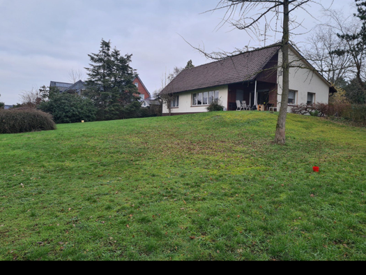 Einfamilienhaus zum Kauf 680.000 € 5 Zimmer 155 m² 2.500 m² Grundstück Bad Laer 49196