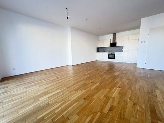 Wohnung zur Miete 532 € 2 Zimmer 62,2 m² 1. Geschoss Dauphinestraße 190 Kleinmünchen Linz 4030