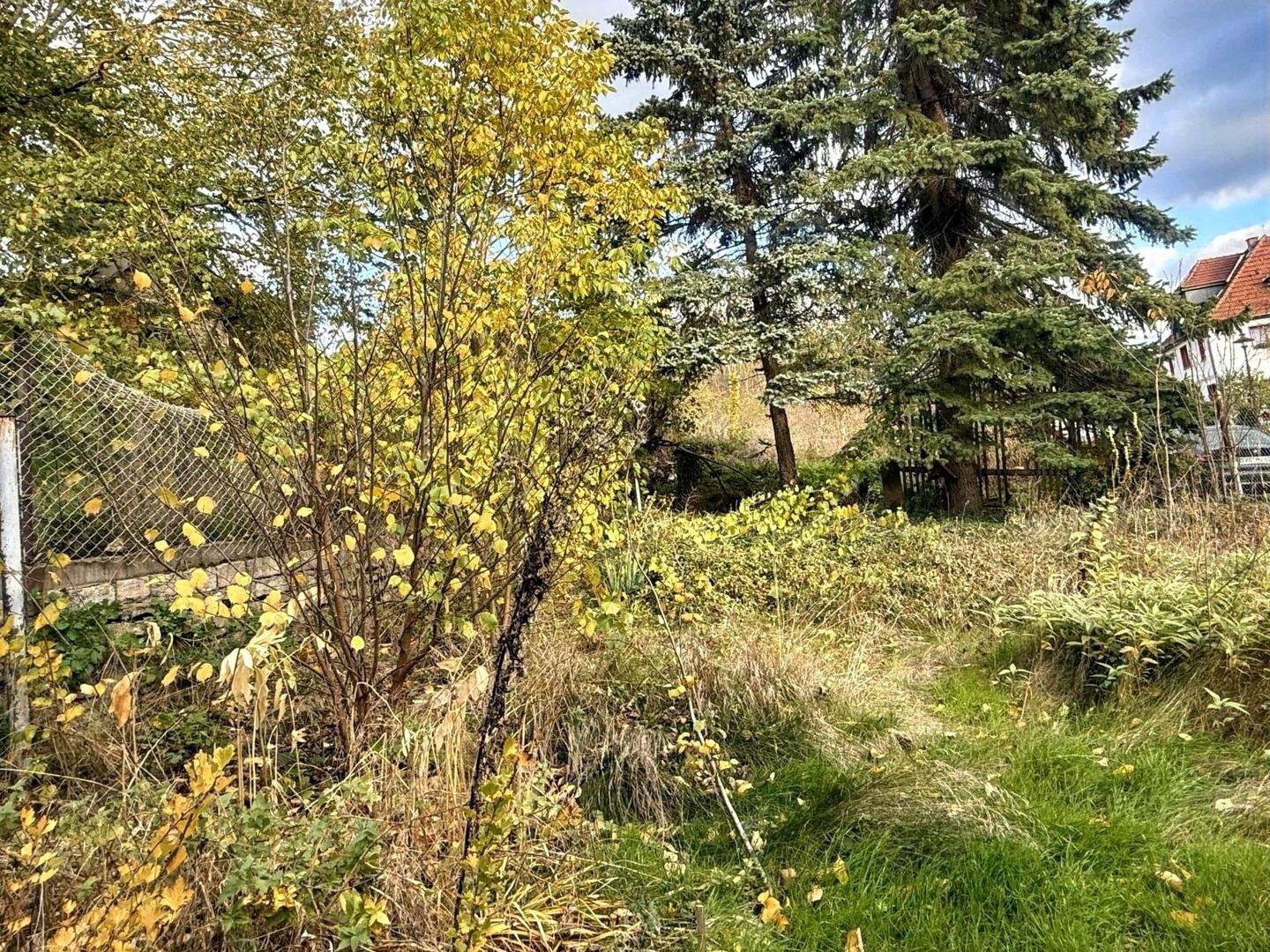 Immobilie in Stadtilm - Dreiseitenhof: Chance für einen Nestbau nach eigenen Wünschen & Vorstellungen für eine Familie ! - Bild 4