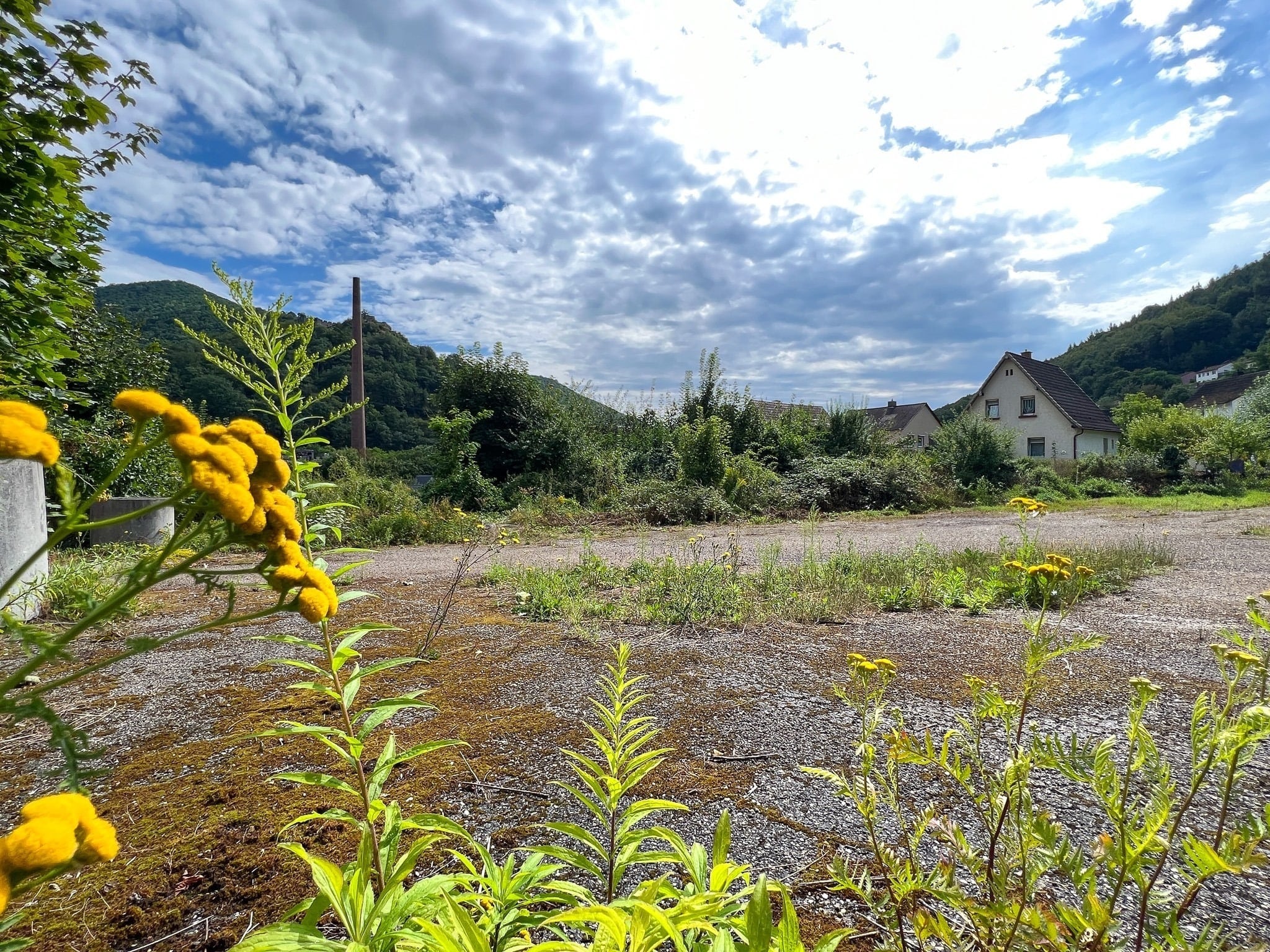 Grundstück zum Kauf 1.800 m²<br/>Grundstück Schöntal Neustadt 67434