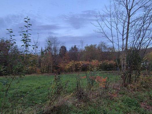 Grundstück zum Kauf 95.000 € 800 m² Grundstück Stadtmitte Völklingen 66333