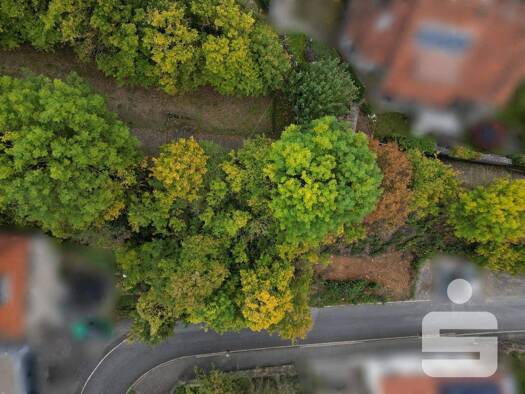 Grundstück zum Kauf 77.000 € 236 m² Grundstück Randersacker 97236