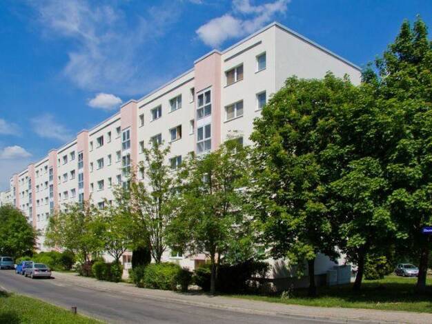 Wohnung zur Miete 297 € 1 Zimmer 26,6 m² frei ab 18.09.2026 Ebereschenstraße 30 Gorbitz-Süd Ortsamtsbereich Cotta 01169