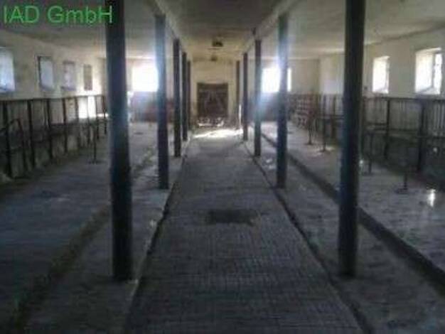 Bauernhaus zum Kauf 200.000 € 16 Zimmer 300 m² 7.548 m² Grundstück Kohlwesa Hochkirch 02627