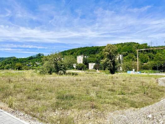 Grundstück zum Kauf 900.000 € 1.130 m² Grundstück Grenzach Grenzach-Wyhlen 79639