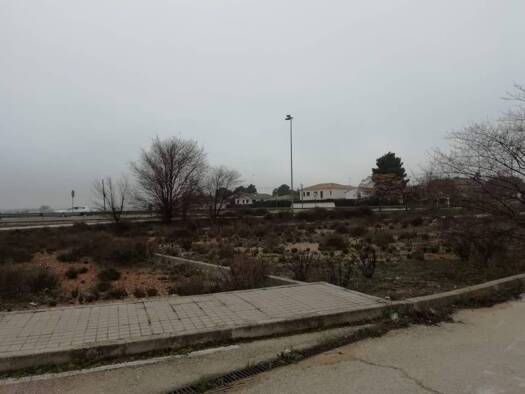 Acker-/Waldstück zum Kauf Ctra. Albacete,  Centro Comercial y de Ocio “ Las S/N Tomelloso 13700