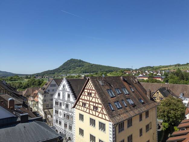 Wohnung zum Kauf 470.000 € 5,5 Zimmer 180 m² Engen Engen 78234