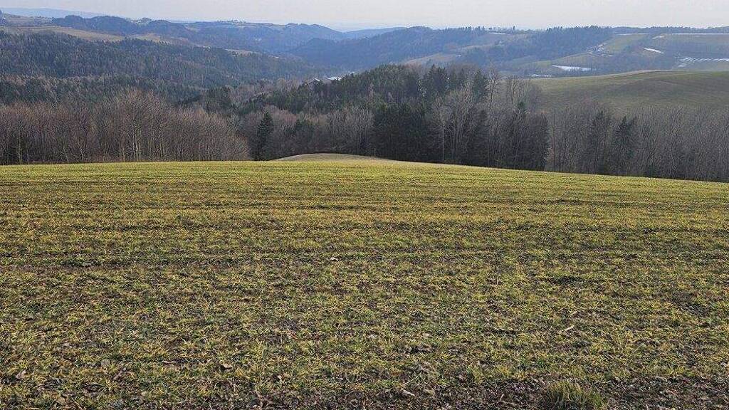 Land-/Forstwirtschaft zum Kauf 470.000 m² Grundstück Gschaidt 2852