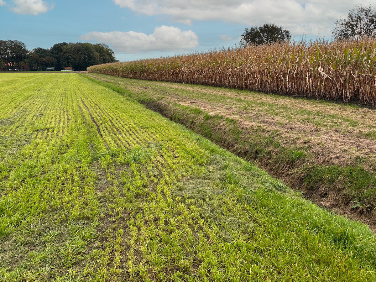 Landwirtschaftliche Fläche zum Kauf 990.000 € 95.593 m²<br/>Fläche 95.593 m²<br/>Grundstück Schale Hopsten 48496