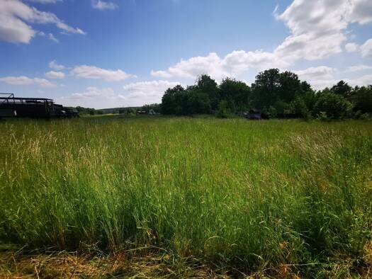 Grundstück zur Miete 1.255 m² Grundstück Ottendorf-Okrilla 01458