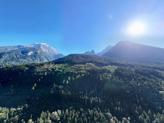 Land-/Forstwirtschaft zum Kauf 145.000 € 28.588 m² Grundstück Ramsau b. Berchtesgaden 83486