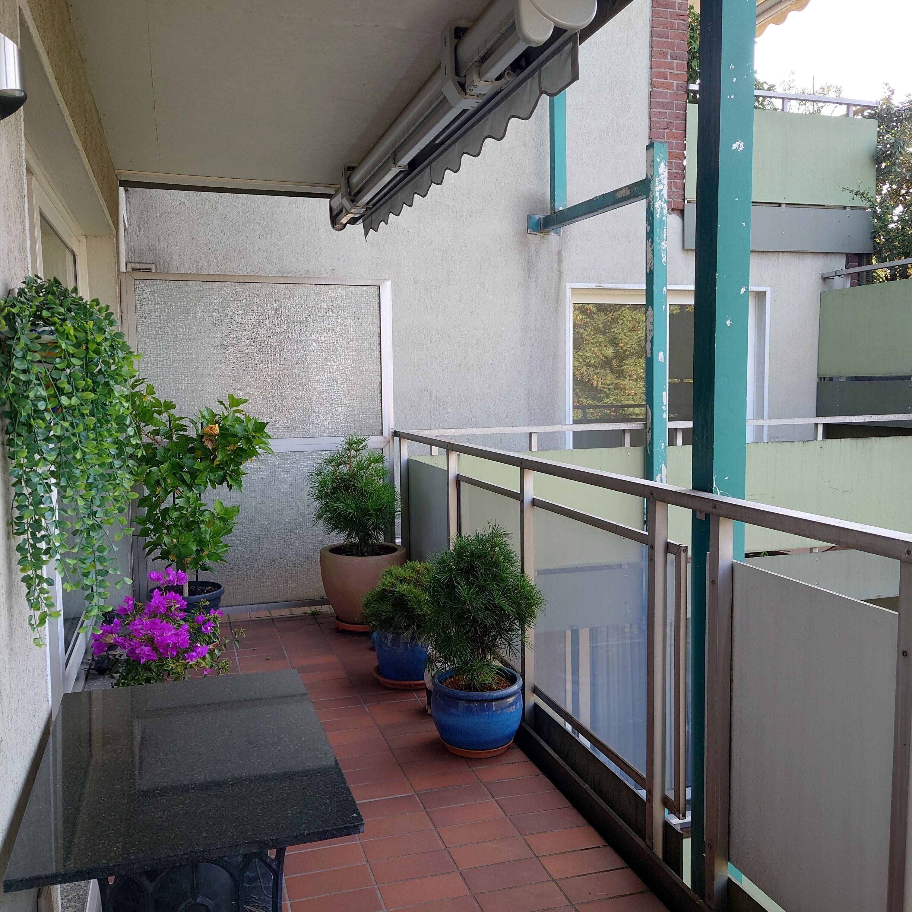 Property thumbnail 12