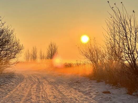 Grundstück zum Kauf provisionsfrei 1.059 m² Grundstück Baugenehmigung vorhanden Grabower Straße, 18445 OT Nisdorf 13 Günz Altenpleen 18445