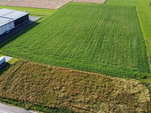 Gewerbegrundstück zur Miete 31.645 m² Grundstück Spielberg 8724