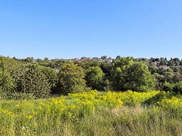 Grundstück zum Kauf provisionsfrei 410 m² Grundstück Steinheim Steinheim an der Murr 71711