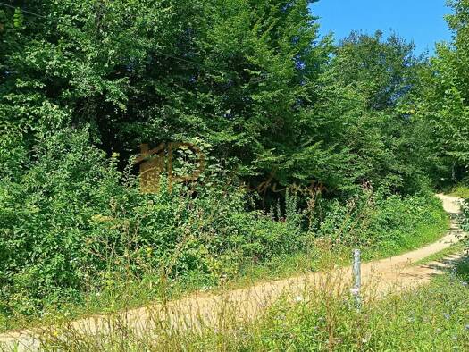 Grundstück zum Kauf 22.000 € Tounj 47264