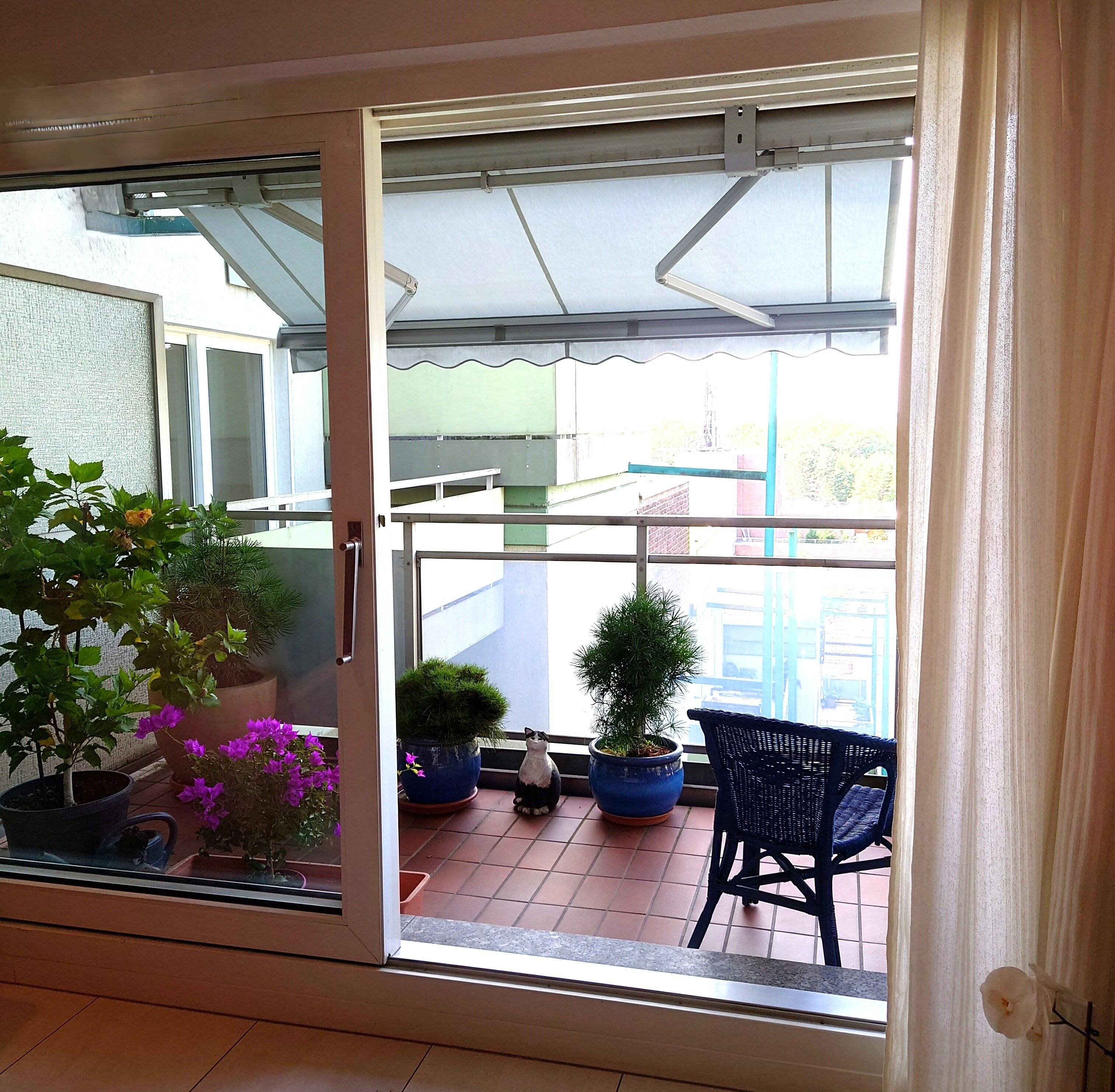 Property thumbnail 11