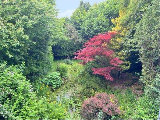 Grundstück zum Kauf 145.000 € 669 m² Grundstück Mensengesäß Mömbris 63776