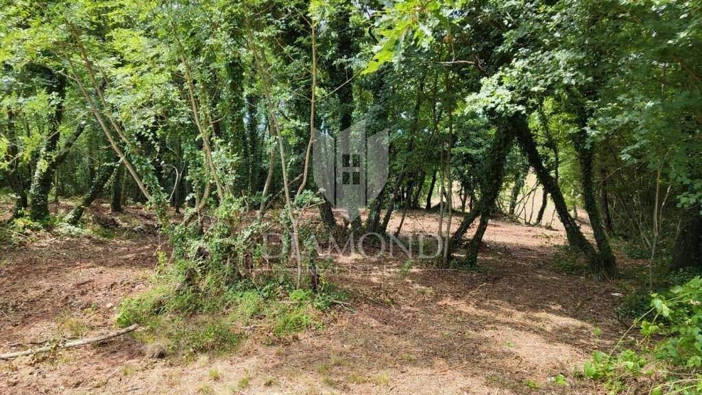 Land-/Forstwirtschaft zum Kauf 47.500 € Barban Barban