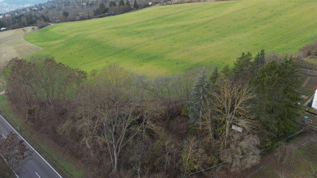 Grundstück zum Kauf 9.200 € 707 m² Grundstück Jenaprießnitz Jena 07749