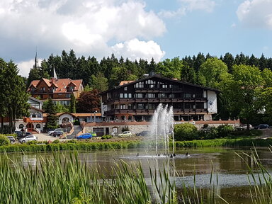 Wohnung zum Kauf 62.000 € 2 Zimmer 47 m² 1. Geschoss frei ab sofort Hahnenklee Goslar 38644