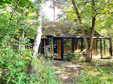 Einfamilienhaus zum Kauf 139.000 € 3 Zimmer 79,7 m² 3.530 m² Grundstück frei ab sofort Thören Winsen (Aller) 29308
