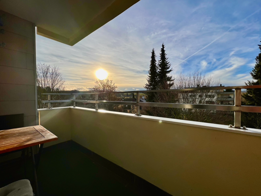 Wohnung zum Kauf provisionsfrei 386.000 € 4 Zimmer 98,5 m² 2. Geschoss Münsingen 72525