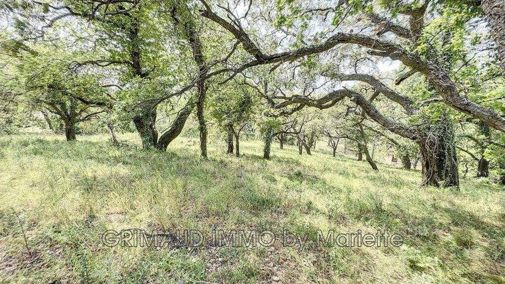 Grundstück zum Kauf 690.000 € 6.350 m² Grundstück Ouest Grimaud 83310