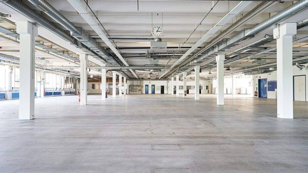 Lagerhalle zur Miete 2 € 2.026 m² Lagerfläche Benzstraße 2 Frickenhausen 72636