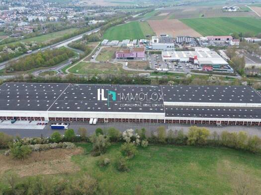 Lagerhalle zur Miete provisionsfrei 30.000 m² Lagerfläche teilbar ab 10.000 m² Hechtsheim Mainz 55129