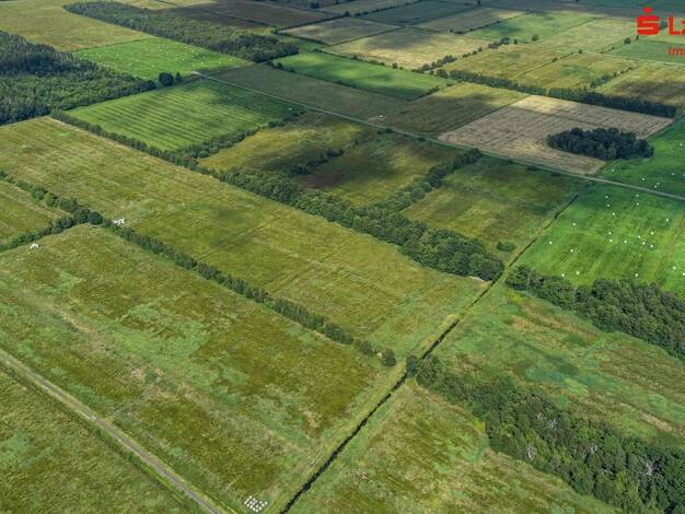 Land-/Forstwirtschaft zum Kauf 612.140 m² Grundstück Dalsper Elsfleth 26931