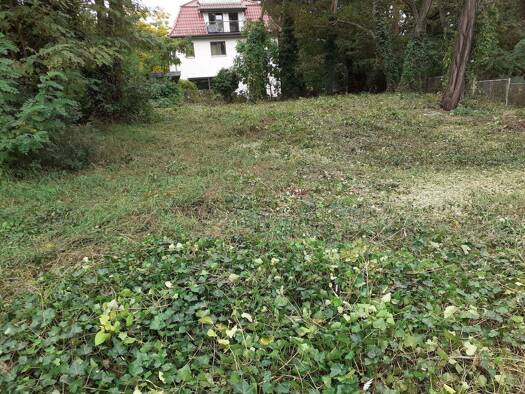 Grundstück zum Kauf 546.000 € 625 m² Grundstück Karlshorst Berlin 10318