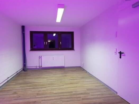 Bürogebäude zur Miete 418 € 1 Zimmer 27 m² Bürofläche Klosterrunsstr. 19 Müllheim 79379