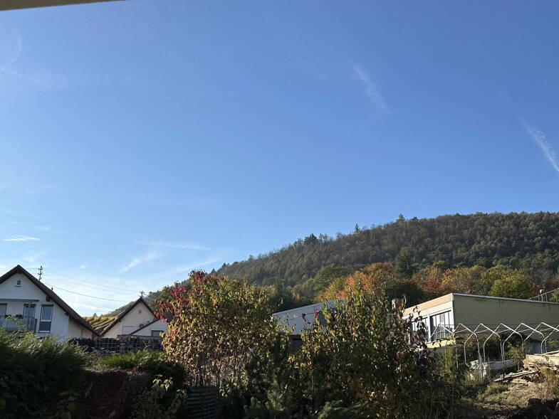 Einfamilienhaus zum Kauf provisionsfrei 199.000 € 7 Zimmer 214 m² 373 m² Grundstück Dagobertstr 4 Frankweiler 76833