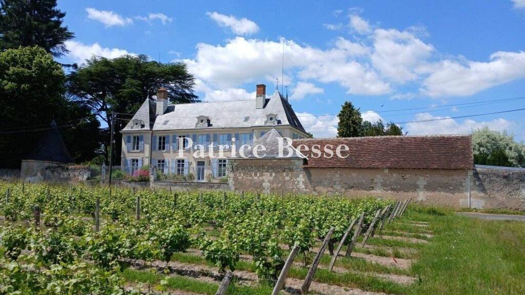 Schloss zum Kauf 1.595.000 € 15 Zimmer 760 m² 16.089 m² Grundstück Montrichard 41400