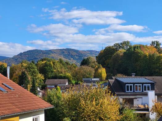 Reihenhaus zum Kauf provisionsfrei 330.000 € 9 Zimmer 173 m² 433 m² Grundstück Achern 77855