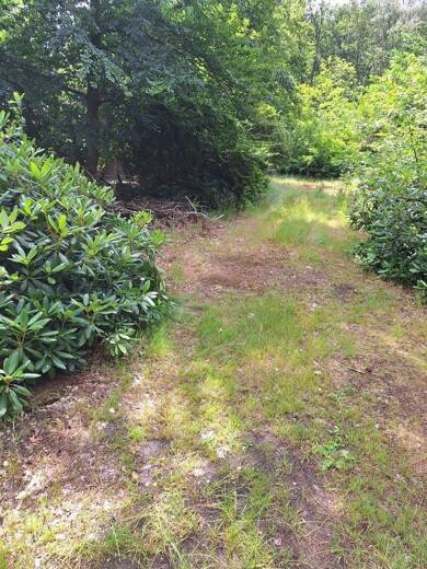 Grundstück zum Kauf 173.000 € 2.200 m² Grundstück Rullstorf Rullstorf 21379