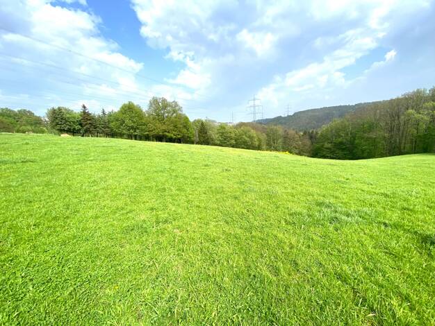 Landwirtschaftliche Fläche zum Kauf 200.000 € 120.539 m² 120.539 m² Grundstück Ehrenhausen Windeck 51570