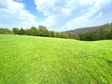 Landwirtschaftliche Fläche zum Kauf 200.000 € 120.539 m² 120.539 m² Grundstück Ehrenhausen Windeck 51570