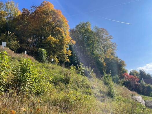 Grundstück zum Kauf 898.000 € 755 m² Grundstück frei ab sofort Bad Tölz 83646