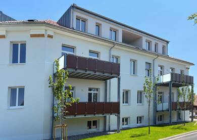 Wohnung zum Kauf provisionsfrei 498.500 € 4 Zimmer 116,7 m² 1. Geschoss frei ab sofort Bleichstraße 14b Freistett Rheinau 77866