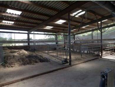 Bauernhof zum Kauf 349.000 € 22.100 m² Grundstück Norderschwei Stadland / Norderschwei 26936