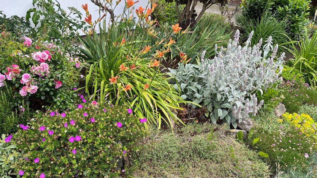 Immobilie in Dürrröhrsdorf-Dittersbach - Gepflegtes Einfamilienhaus in idyllischer Lage 20 km östlich von Dresden - Bild 3