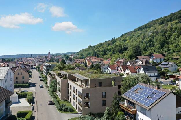 Wohnung zum Kauf - Neubau provisionsfrei 544.000 € 3 Zimmer 111 m² 2. Geschoss frei ab 01.09.2027 Tiengen Waldshut-Tiengen 79761