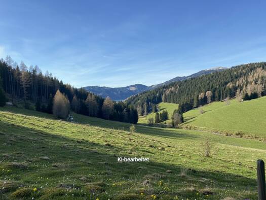 Land-/Forstwirtschaft zum Kauf 80.000 m² Grundstück Knittelfeld 8733