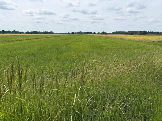 Landwirtschaftliche Fläche zum Kauf 134.462 € 38.923 m² Grundstück Bundesstraße Hohnstorf Hohnstorf (Elbe) 21522